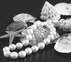 Bild von Lolame auf Pixabay